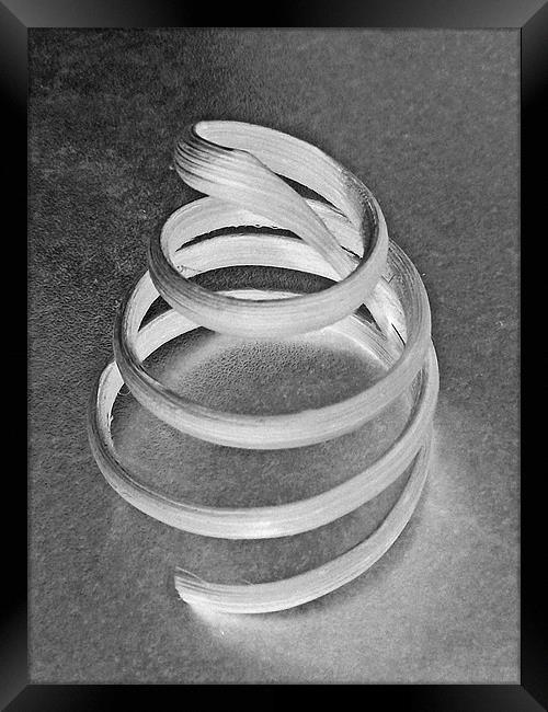 Negative Spiral.. 16th Feb 2011 Framed Print by Donna Collett