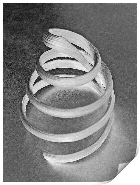 Negative Spiral.. 16th Feb 2011 Print by Donna Collett