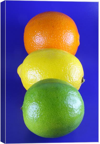 Orange Lemon and Lime Canvas Print by Nicola Clark