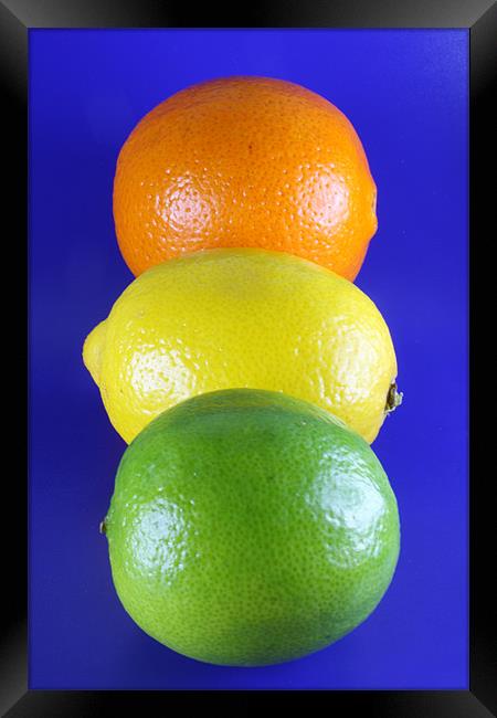 Orange Lemon and Lime Framed Print by Nicola Clark