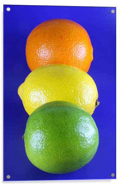 Orange Lemon and Lime Acrylic by Nicola Clark