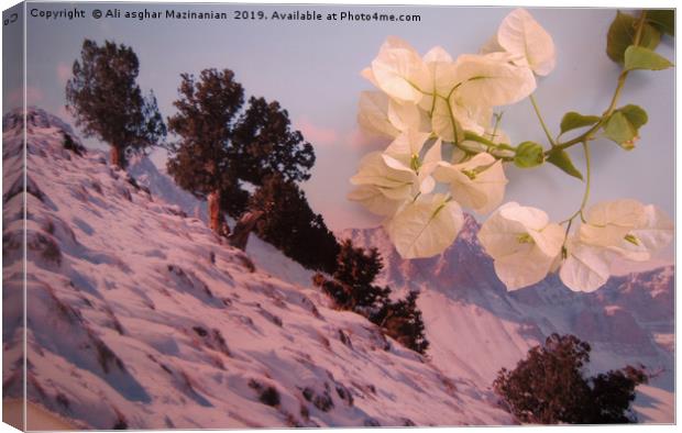 A sign of Spring in winter, Canvas Print by Ali asghar Mazinanian