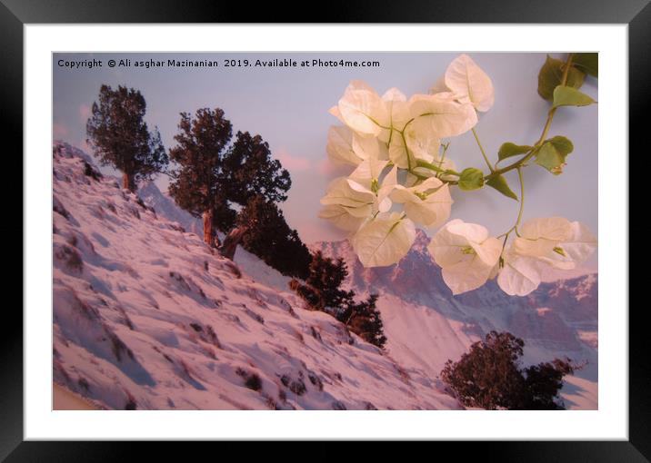 A sign of Spring in winter, Framed Mounted Print by Ali asghar Mazinanian