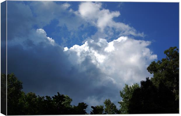 Storm Clouds A'Comin Canvas Print by james balzano, jr.