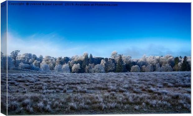 Winter frosted trees, looking out from Garscube  Canvas Print by yvonne & paul carroll