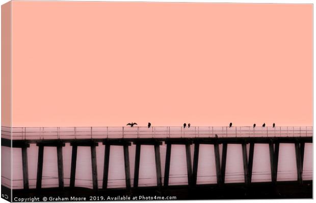 Sea birds on pier Canvas Print by Graham Moore