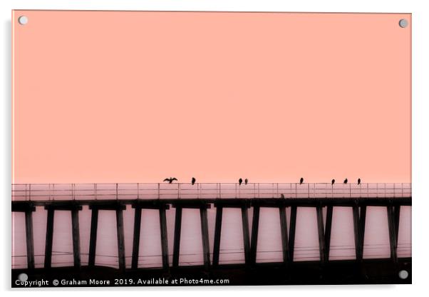 Sea birds on pier Acrylic by Graham Moore