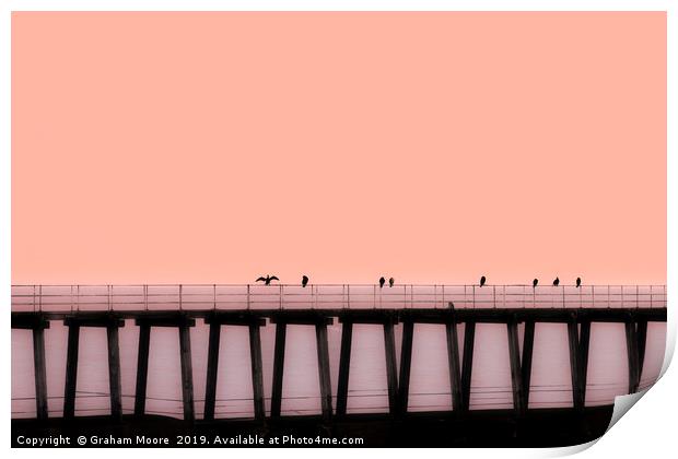 Sea birds on pier Print by Graham Moore