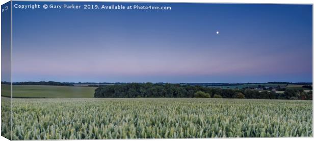 The moon rises over an English wheat field Canvas Print by Gary Parker