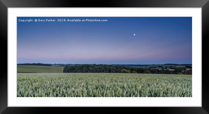 The moon rises over an English wheat field Framed Mounted Print by Gary Parker