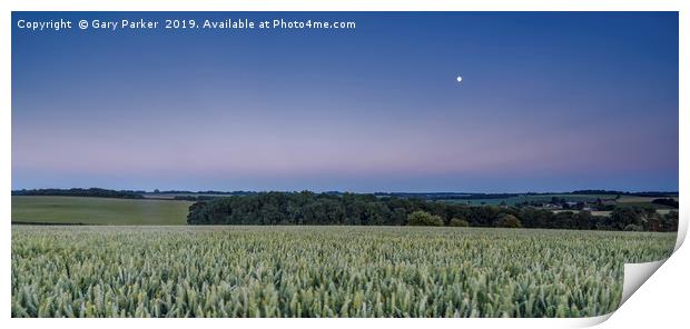 The moon rises over an English wheat field Print by Gary Parker