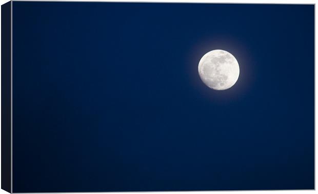 Full moon Canvas Print by David French