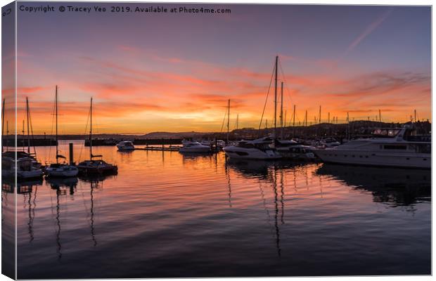 Reflections in Torquay Marina. Canvas Print by Tracey Yeo