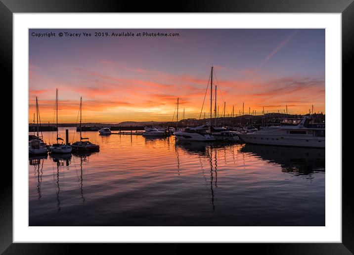 Reflections in Torquay Marina. Framed Mounted Print by Tracey Yeo