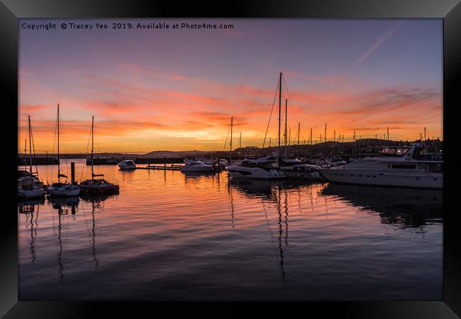 Reflections in Torquay Marina. Framed Print by Tracey Yeo