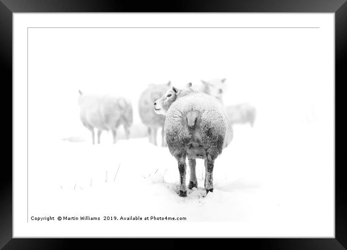 Another cold day on the moors Framed Mounted Print by Martin Williams