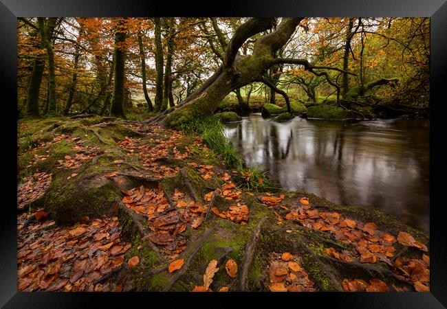 Autumn River Fowey Framed Print by CHRIS BARNARD