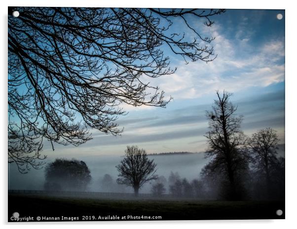 Morning Fog Acrylic by Hannan Images