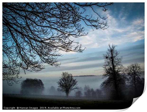 Morning Fog Print by Hannan Images