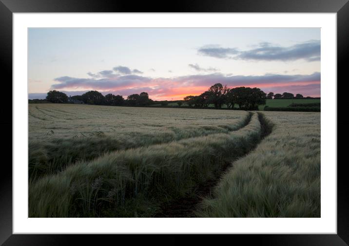 Barley Fields Framed Mounted Print by CHRIS BARNARD
