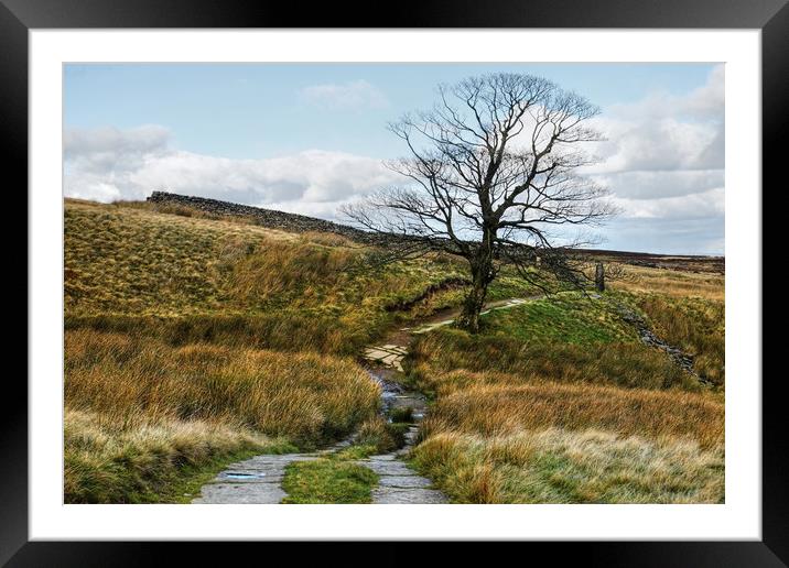 The Pennine Way Footpath Framed Mounted Print by Diana Mower
