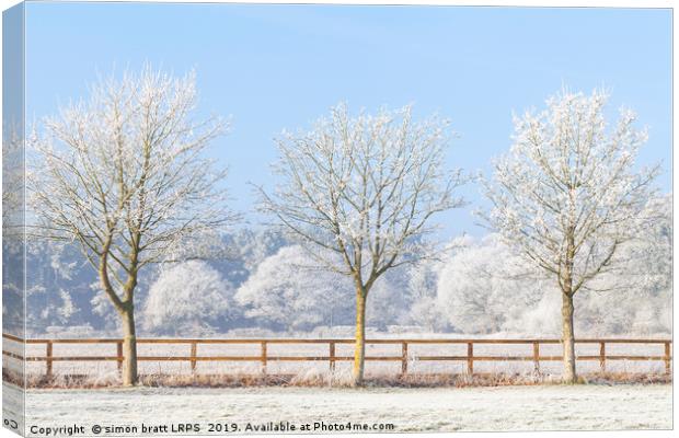 Three winter trees and frozen fence Canvas Print by Simon Bratt LRPS