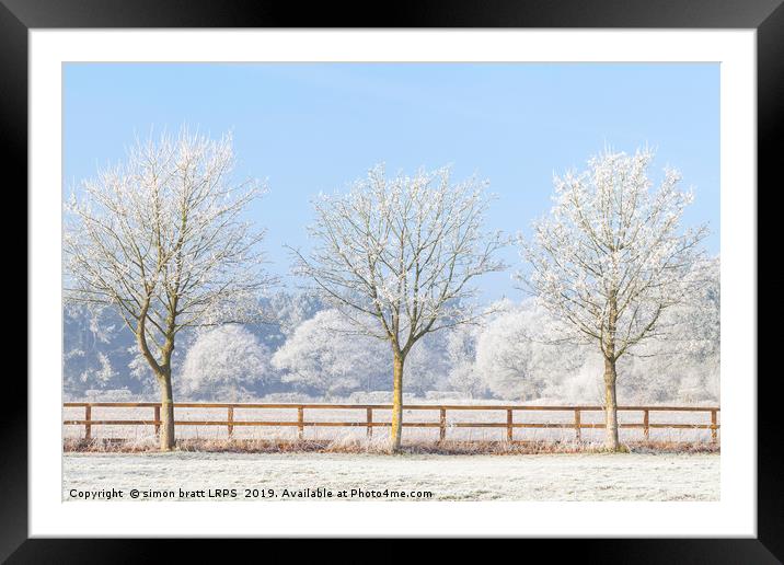Three winter trees and frozen fence Framed Mounted Print by Simon Bratt LRPS