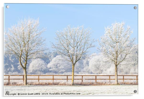 Three winter trees and frozen fence Acrylic by Simon Bratt LRPS