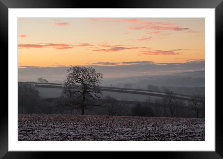Winter Sunrise Framed Mounted Print by CHRIS BARNARD