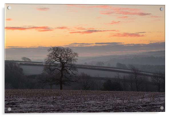 Winter Sunrise Acrylic by CHRIS BARNARD
