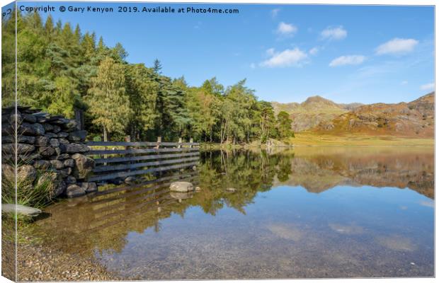 Blea Tarn Reflections Canvas Print by Gary Kenyon