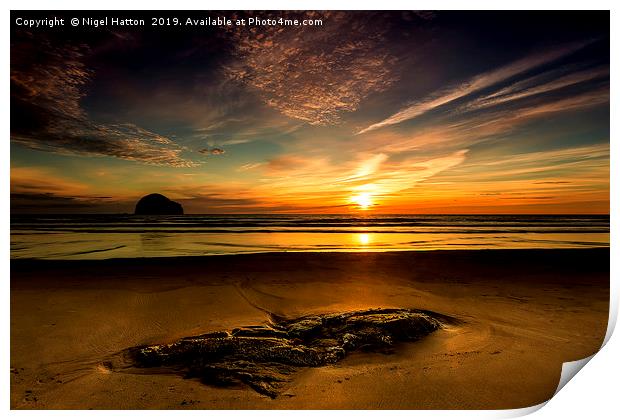 The Strand at Sunset Print by Nigel Hatton