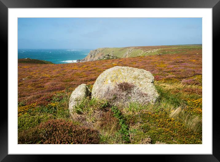 Heather At Pendower Cove Framed Mounted Print by CHRIS BARNARD