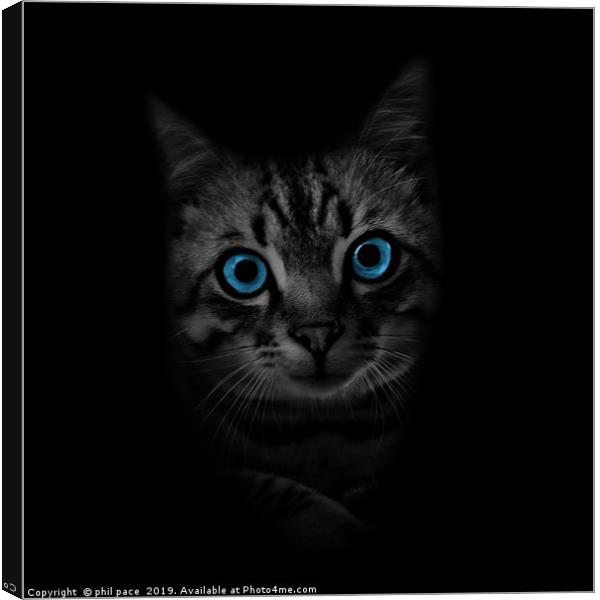 Blue Eyes Canvas Print by phil pace
