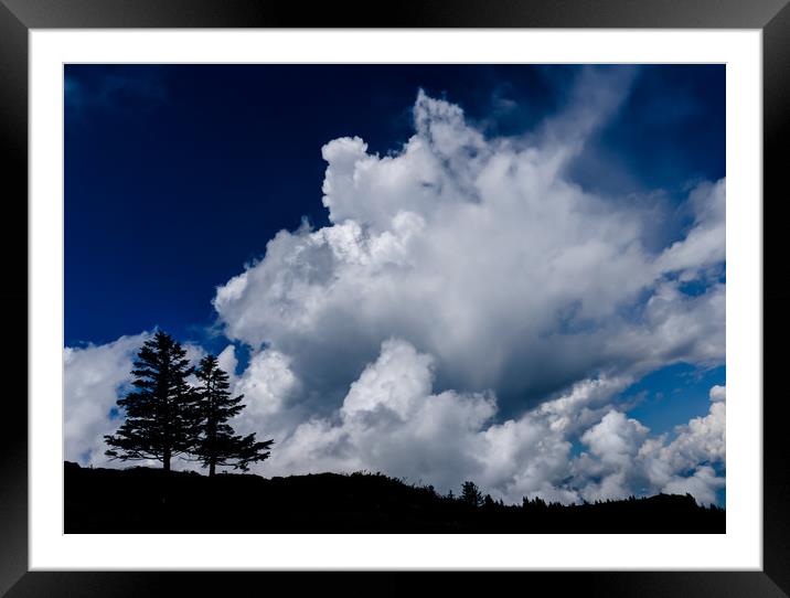 Two Weather The Storm Framed Mounted Print by DiFigiano Photography