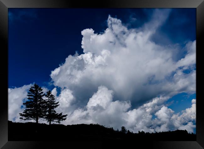 Two Weather The Storm Framed Print by DiFigiano Photography