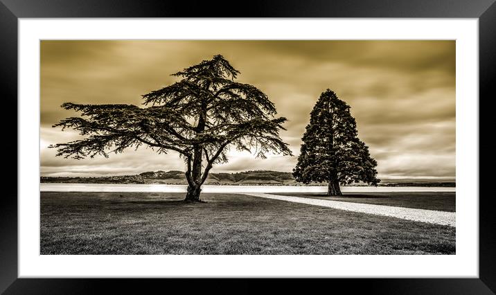 On The Golden Shore Framed Mounted Print by DiFigiano Photography