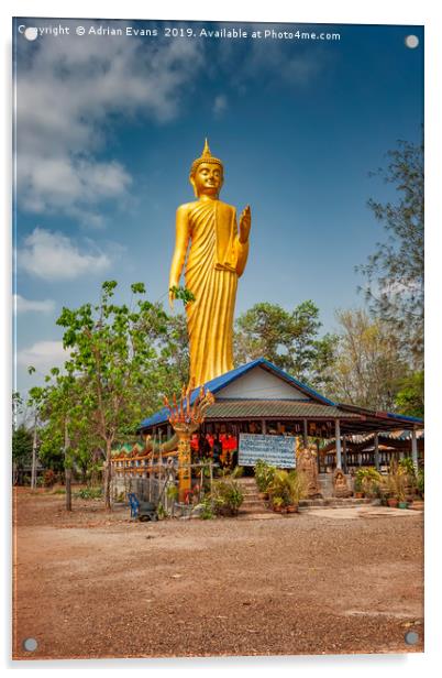 Wat Kham Chanot Golden Buddha Acrylic by Adrian Evans