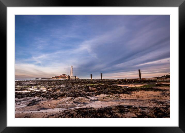 St Mary's Lighthouse from the beach Framed Mounted Print by Naylor's Photography
