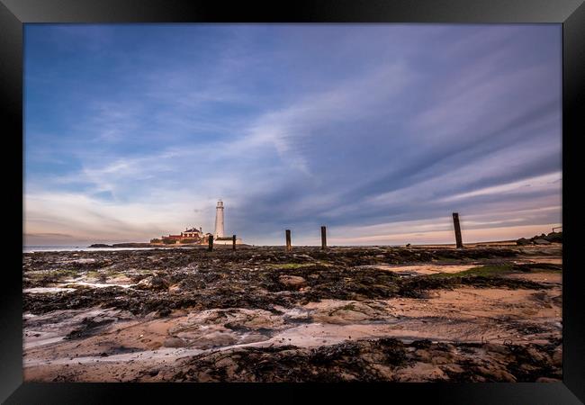 St Mary's Lighthouse from the beach Framed Print by Naylor's Photography