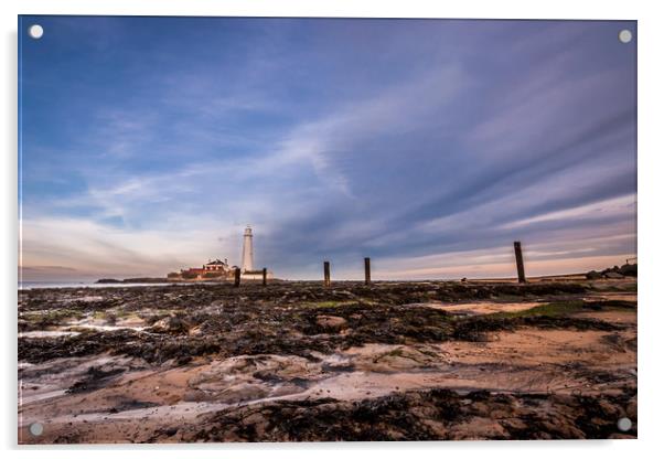 St Mary's Lighthouse from the beach Acrylic by Naylor's Photography