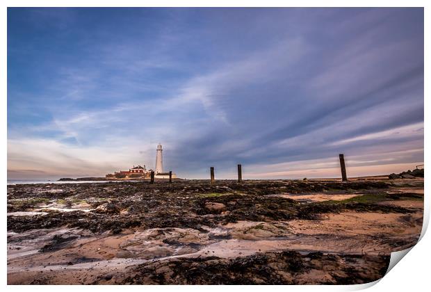 St Mary's Lighthouse from the beach Print by Naylor's Photography
