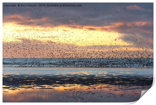 Starlings at Sunset Blackpool Print by Gary Kenyon