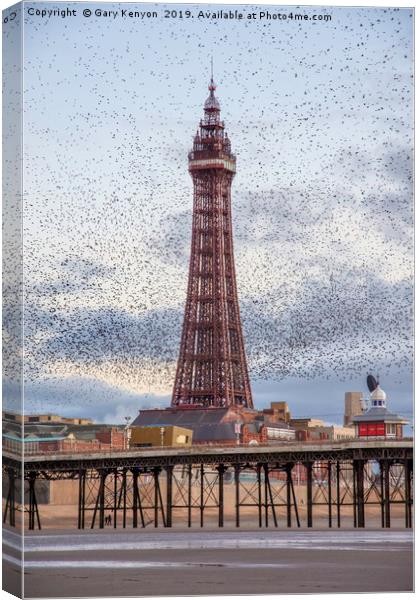 Murmurating Starlings by Blackpool Tower Canvas Print by Gary Kenyon