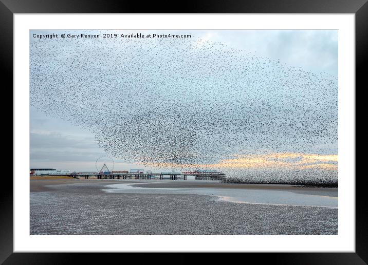 Starlings over Central Pier Framed Mounted Print by Gary Kenyon