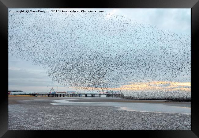 Starlings over Central Pier Framed Print by Gary Kenyon