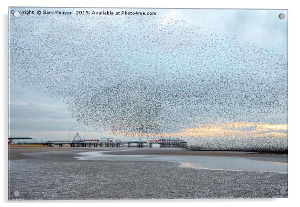 Starlings over Central Pier Acrylic by Gary Kenyon