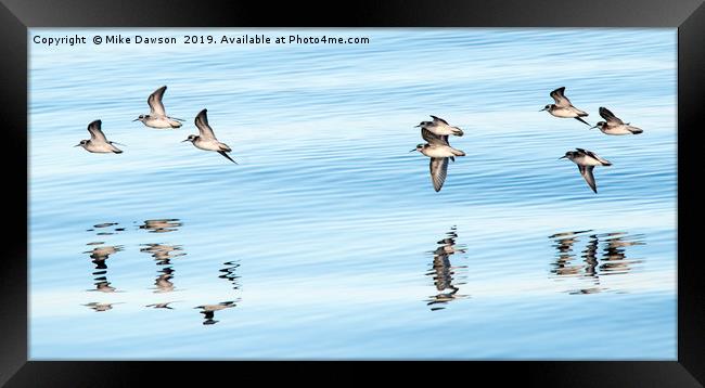 Refllections of Flight Framed Print by Mike Dawson
