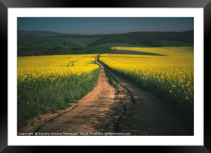 Rapeseed fields in the Moravia Region Framed Mounted Print by Daniela Simona Temneanu