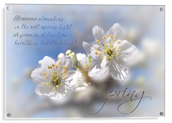 Springtime Acrylic by Valerie Anne Kelly